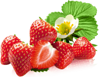 frische Erdbeeren